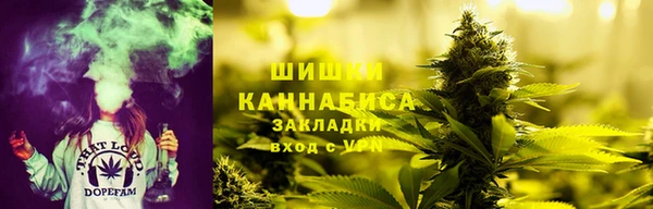 PSILOCYBIN Кукмор