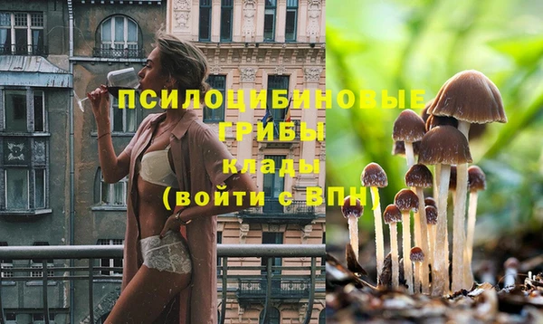 гашишное масло Лабытнанги